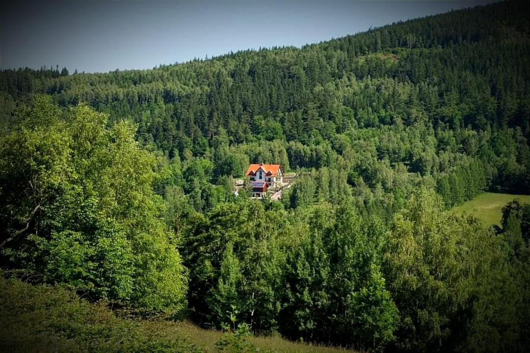 Apartamety I Pokoje Goscinne Na Jaskolczej Swieradow-Zdroj Ngoại thất bức ảnh